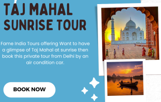  Sunrise Taj Mahal Tour
